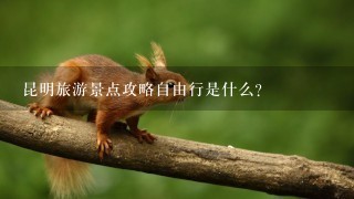 昆明旅游景点攻略自由行是什么？