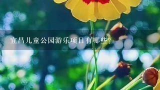 宜昌儿童公园游乐项目有哪些？