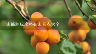 成都游玩攻略必去景点大全