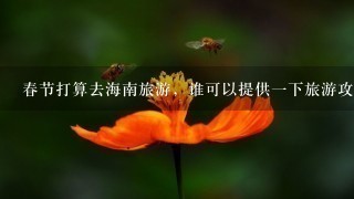 春节打算去海南旅游，谁可以提供一下旅游攻略，谢谢