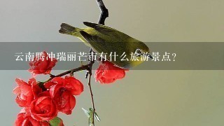 云南腾冲瑞丽芒市有什么旅游景点？