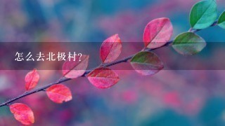 怎么去北极村？