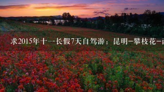 求2015年十一长假7天自驾游：昆明-攀枝花-西昌-成都-昆明的攻略，紧急！谢谢！