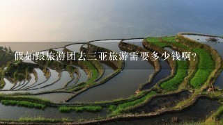 假如跟旅游团去三亚旅游需要多少钱啊?