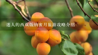 迷人的西双版纳蜜月旅游攻略介绍