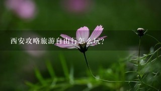 西安攻略旅游自由行怎么玩？