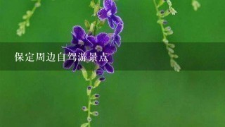 保定周边自驾游景点