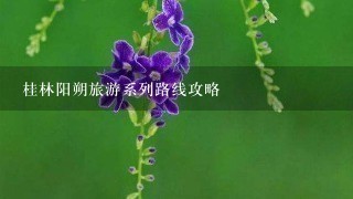 桂林阳朔旅游系列路线攻略