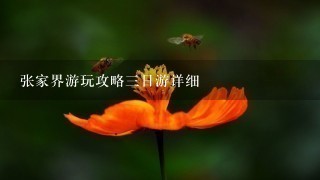 张家界游玩攻略三日游详细