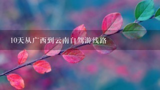 10天从广西到云南自驾游线路