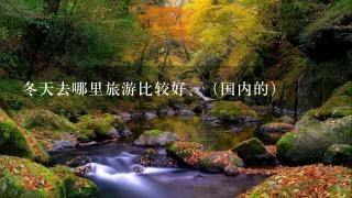 冬天去哪里旅游比较好、（国内的）