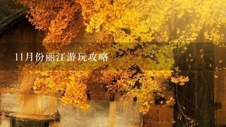 11月份丽江游玩攻略