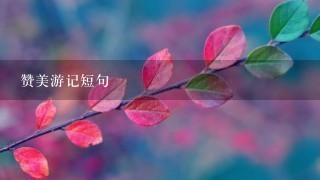 赞美游记短句