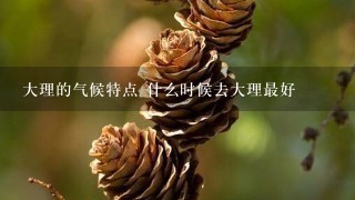 大理的气候特点 什么时候去大理最好