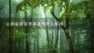 云南旅游需要准备些什么东西