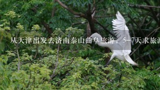 从天津出发去济南泰山曲阜旅游，5-7天求旅游攻略时间安排。济南的小吃都有什么，泰山看日出怎么安排。