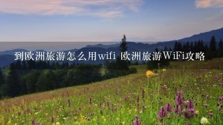 到欧洲旅游怎么用wifi 欧洲旅游WiFi攻略