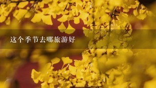 这个季节去哪旅游好