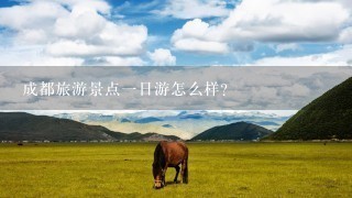 成都旅游景点一日游怎么样？