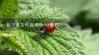 初学者怎样做课件ppt教程？