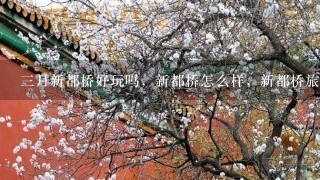 三月新都桥好玩吗，新都桥怎么样，新都桥旅游攻略