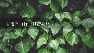 香港自由行一日游攻略