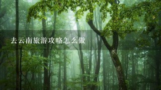 去云南旅游攻略怎么做