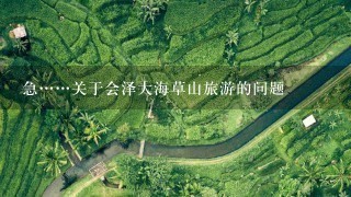 急……关于会泽大海草山旅游的问题