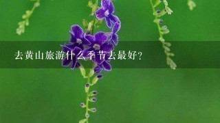 去黄山旅游什么季节去最好?