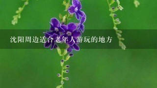 沈阳周边适合老年人游玩的地方