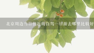 北京周边当日往返的自驾一日游去哪里比较好？