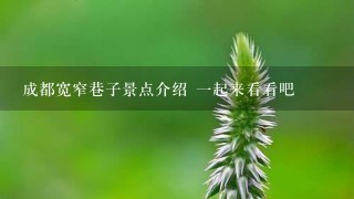 成都宽窄巷子景点介绍 一起来看看吧