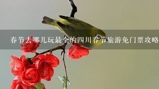 春节去哪儿玩最全的四川春节旅游免门票攻略，千