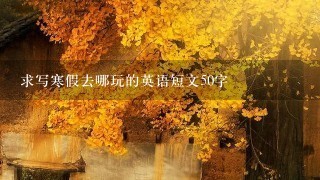 求写寒假去哪玩的英语短文50字