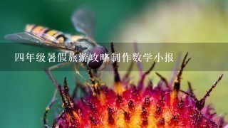 四年级暑假旅游攻略制作数学小报