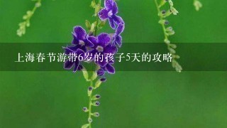 上海春节游带6岁的孩子5天的攻略