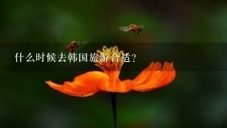 什么时候去韩国旅游合适?