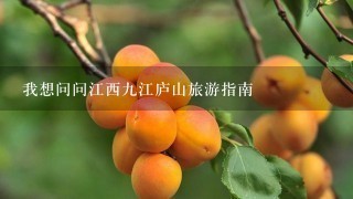 我想问问江西九江庐山旅游指南