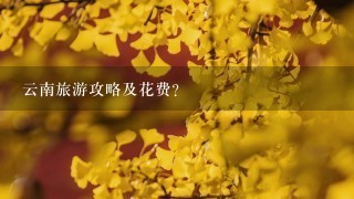 云南旅游攻略及花费?