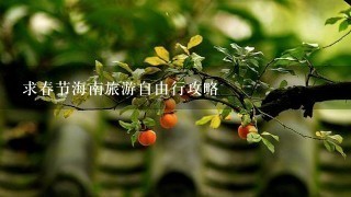 求春节海南旅游自由行攻略