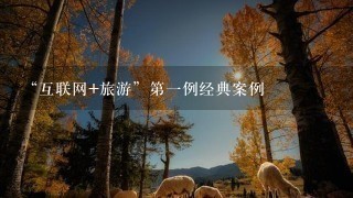 “互联网+旅游”第一例经典案例