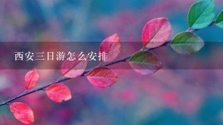 西安三日游怎么安排