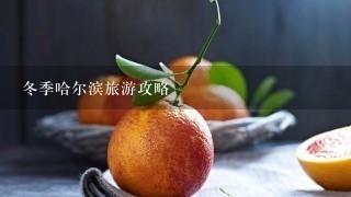 冬季哈尔滨旅游攻略