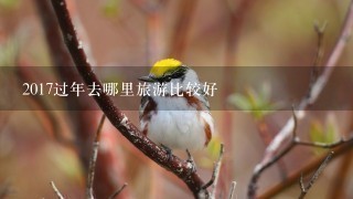 2017过年去哪里旅游比较好