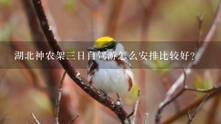 湖北神农架三日自驾游怎么安排比较好？