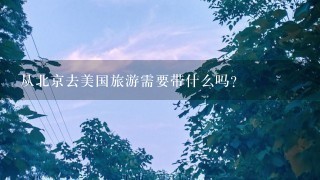 从北京去美国旅游需要带什么吗？