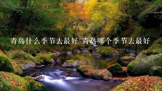 青岛什么季节去最好 青岛哪个季节去最好