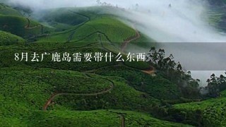 8月去广鹿岛需要带什么东西