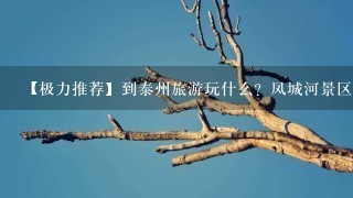 【极力推荐】到泰州旅游玩什么？凤城河景区的精髓在哪？这绝对称得上有史以来最全面的攻略。如果你有同...