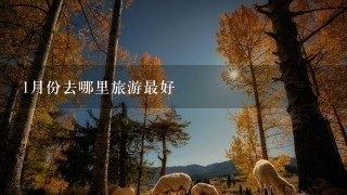 1月份去哪里旅游最好